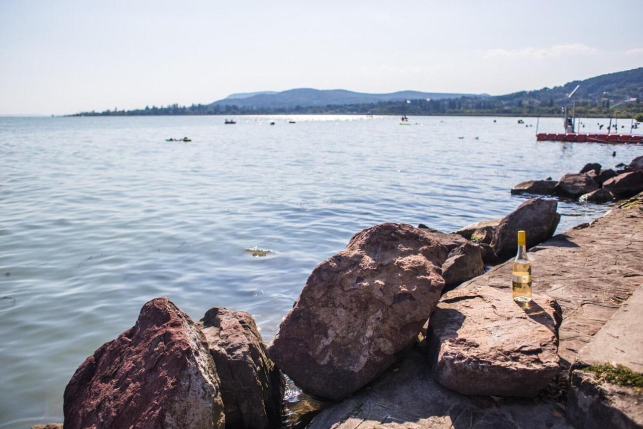 Balaton Wellness Tom Cat Nyaralo 1 Wellness Es 1 Gyermekbarat Apartmannal Kovagoors Экстерьер фото