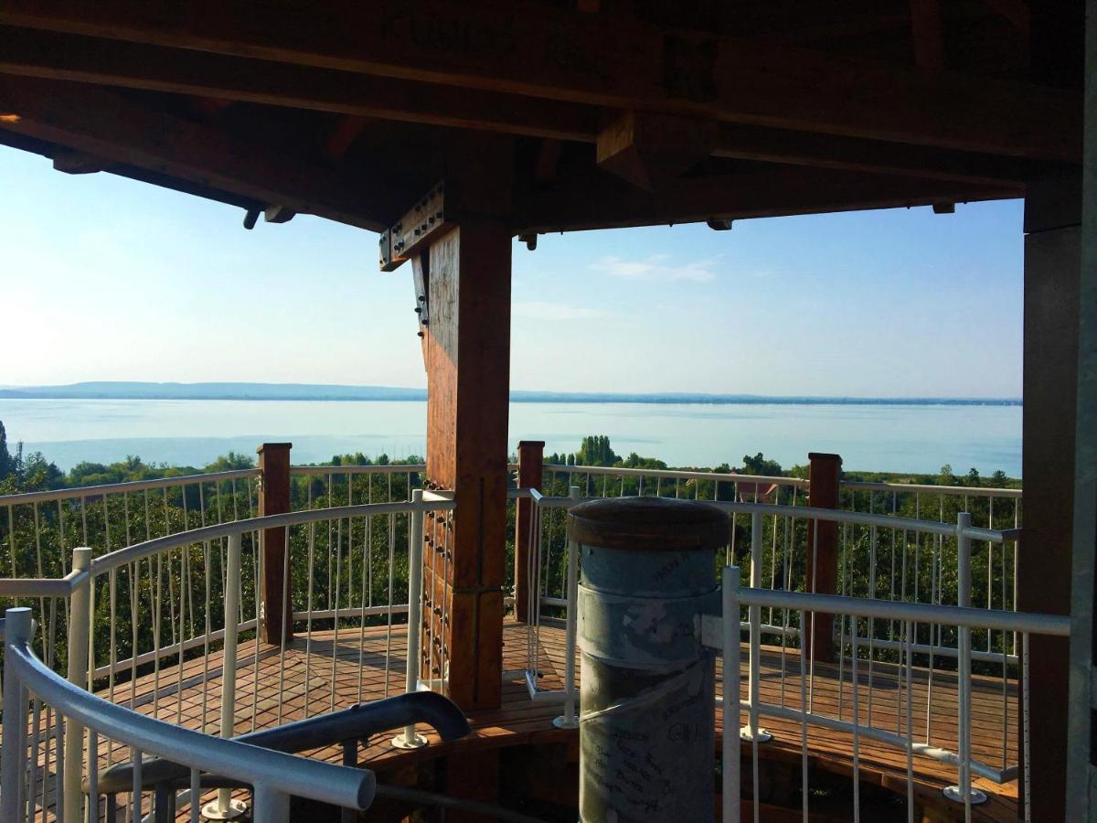 Balaton Wellness Tom Cat Nyaralo 1 Wellness Es 1 Gyermekbarat Apartmannal Kovagoors Экстерьер фото